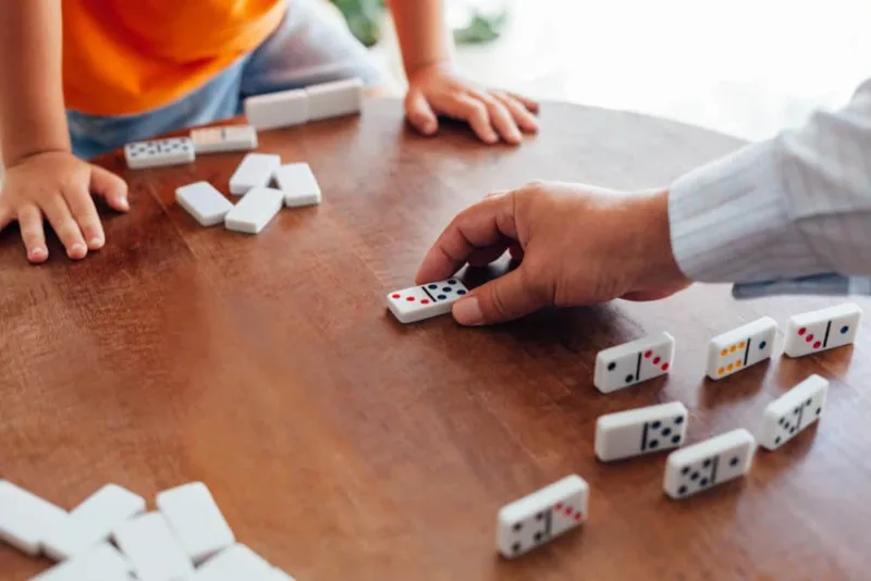 Rules for participating in the domino game